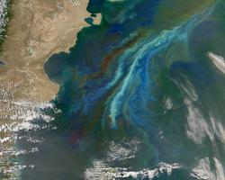 Phytoplankton bloom off the coast of Argentina