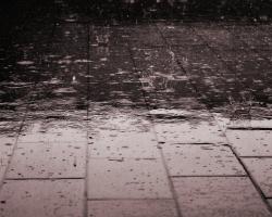 Rain drops falling on the ground