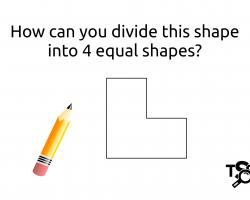 Can you figure out how to divide this shape?