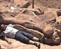 Man lying next to a dinosaur bone that is much longer than he is