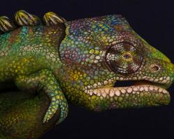 Chameleon Hand Painting by Guido Daniele