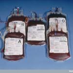 Blood transfusion bags