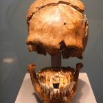 Did cavemen use toothpicks?